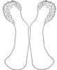 Erioloides longinoi Naskrecki & Cohn, 2000: male titillators. (Otu).