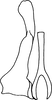 Stylus: !! display not done !! on Taurotettix (Callistrophia) elegans subornatus (Mitjaev, 1971): dorsal view. (Observation).