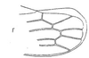 Forewing: !! display not done !! on Exitianus Ball, 1929: forewing. (Observation).