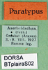 CollectionObject 1564694; bb43b9c7-6c08-4ff1-867f-6b4f4208caa8: labels (syntype). (CollectionObject).