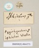 CollectionObject 1560435; dd64b8db-542d-499b-9925-069a0d78b473: copyright Natural History Museum, London. male, data labels (syntype). (CollectionObject).;CollectionObject 1560436; fb5361fa-2dec-4ea9-876a-b1c5e236ef61: copyright Natural History Museum, London. male, data labels (syntype). (CollectionObject).