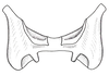 Coyacris brevipennis (Ronderos, 1979): Fig. 7. epiphallus, dorsal view. (Otu).