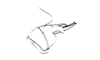 Orotettix andeanus (Bruner, 1913): Fig. 21. apex of aedeagus, lateral view. (Otu).