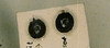 Anchiale stolli Sharp, 1898: copyright CUMZ, Cambridge. eggs of Anchiale stolli. (Otu).
