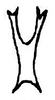 Aedeagus, dorsal view: !! display not done !! on Neocoelidia orientalis DeLong, 1953: Ventral process of aedeagus, dorsal view. (Observation).