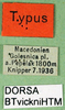 CollectionObject 1500468; 8e5279f8-6fe1-4dbd-9942-71b18aa06ef8, DORSA BTvickniHTM: labels (holotype). (CollectionObject).