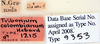 Tribonium colombicum Hebard, 1933: Photo by Heidi Hopkins. labels. (Otu).