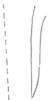 Pygofer ventral appendages, ventral view: Pygofer process, ventral view. (Observation).