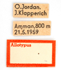 labels (allotype). Depicts CollectionObject 1578263; a941092d-92b3-42fc-a22f-cb48535bffe4, a CollectionObject.
