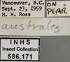 Other on Edwardsiana crataegi (Douglas, 1876): Labels - Face. Labels for the specimen used for the face image. (Observation).