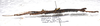 CollectionObject 1584717; e445e41a-d168-4756-95d6-89606b80faa7: copyright ZRC Singapore. male, dorsal view (paratype). (CollectionObject).