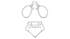 Heliastus cirrhoides Otte, 1984: Fig. 37D. head and pronotum, dorsal view. (Otu).
