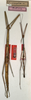 CollectionObject 1558820; ba524a32-7d70-4ae0-b212-f54c1dea57c8: copyright NMW, Vienna. female and male (paralectotypes). (CollectionObject).;CollectionObject 1558821; f1f8a63a-23b8-4de7-9d52-9662ab0e6060: copyright NMW, Vienna. female and male (paralectotypes). (CollectionObject).
