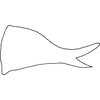 Pygofer appendages on Anufrievia broka Sohi & Mann, 1992: dorsal pygofer appendage. (Observation).