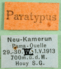 CollectionObject 1570316; 96816617-5c3a-410a-9f34-620e61be1528: labels (paratype of Gymnobothrus houyi). (CollectionObject).