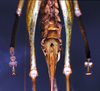 CollectionObject 1541578; 4ec5e813-051a-4db4-acba-5d0093d1f374: female subgenital plate. (CollectionObject).