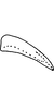 Pygofer appendages on Anufrievia crispata Tan, Jiang & Song, 2021: (Observation).