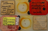 CollectionObject 2321670; EMEC 17349, c3c91063-9a71-488f-8720-d33aad60669c: (CollectionObject).