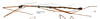 CollectionObject 1558819; a395ad3d-677d-444a-b3e1-a019eebb5e08, NMW 669': copyright NHMW, photo by Hennemann & Conle. male, lateral view (holotype). (CollectionObject).