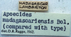 CollectionObject 1520675; 44def684-88c2-4b34-be56-b6a405749d39: labels. (CollectionObject).