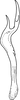 Stylus: Stylus. (Observation).