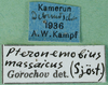 CollectionObject 1502501; aa9b4888-98d0-4c3a-9933-cffdd0d8b2e9: labels. (CollectionObject).