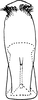 Aedeagus, ventral view on Empoascanara (Empoascanara) papaha Dworakowska, 1980: Aedeagus, ventral view. (Observation).