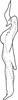 Stylus on Arboridia (Arboridia) sexprocessa Song, Li & Dietrich, 2016: Stylus. (Observation).