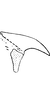 Anal tube processes on Arboridia (Arboridia) erecta (Ribaut, 1931): Anal tube process. (Observation).