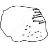 Pygofer, lateral view on Athysanella (Diphipyga) secunda Blocker & Wesley, 1985: (Observation).
