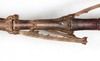 CollectionObject 1557865; NMW 780, fe89e5a8-ccc0-4a8b-923e-40f33bfad8bd: copyright NMW, Vienna. female: mid-body, dorsal view (holotype). (CollectionObject).