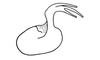 Eurybiacris trifida Descamps, 1979: Fig. 118. Sclerite (latero-ventral). (Otu).