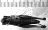 CollectionObject 1530135; 559c83d8-e095-4bbe-93d2-9ec08042a382: Image Carbonell, C.S. female, dorsal view (probably syntype). (CollectionObject).