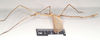 CollectionObject 1561143; NHMUK(SF IMPORT DUPLICATE) 845014, 7b0cf27c-1ad1-46d0-b325-7f53ac15ad26: copyright Natural History Museum, London. male, lateral view of Phibalosoma hypharpax (holotype). (CollectionObject).