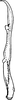Stylus on Andrabia Ahmed, 1970: Stylus (A. aurea Dwor. & Sohi). (Observation).
