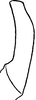 Stylus on Enantiocephalus cornutus (Herrich-Schäffer, 1838): Stylus. (Observation).
