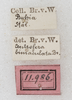 CollectionObject 1532180; b0376eab-055e-4de7-848e-abd7d9c38887: labels (holotype). (CollectionObject).