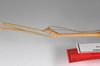 CollectionObject 1562967; 0fec4be1-641c-45a3-808a-6a005e6200d4: copyright ZSMC, Munich. male (holotype), head & thorax, lateral view. (CollectionObject).