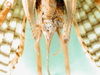 CollectionObject 1500176; 923a97bf-b74e-4660-9daf-5bf4df9fd112, MfN 3042: female abdomen tip, ventral view (holotype). (CollectionObject).