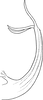 Aedeagus, lateral view on Edwardsiana candidula (Kirschbaum, 1868): Aedeagus, lateral view. (Observation).