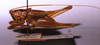 CollectionObject 1516149; d73704c3-82b5-452d-b040-c561cec6498f: male, lateral view (holotype). (CollectionObject).