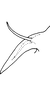 Pygofer appendages on Erythria vidanoi Dworakowska, 1993: Pygofer process, lateral view. (Observation).