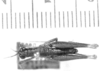 CollectionObject 1524466; 57c5c9b3-281c-4a00-81ea-b84fa433604d: male, dorsal view (holotype). (CollectionObject).
