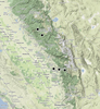 Melanoplus ablutus Scudder, 1899: geographic distribution. (Otu).