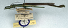 CollectionObject 1557813; NMW 109, 2e2ecb74-81a2-4b8d-968e-3c5fa6da1576: copyright NMW. male, lateral view (lectotype). (CollectionObject).