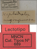 CollectionObject 1535082; 9b6fc718-868e-4e1b-b67f-f41caf58c759: labels (lectotype). (CollectionObject).