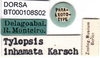 CollectionObject 1502879; c631b3a6-6ecf-4558-a764-d75b1847cf85: labels (paralectotype of Tylopsis inhamata). (CollectionObject).