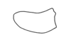Anablysis pantherina Gerstaecker, 1889: Fig. 80. lateral ventral sclerite of ectophallus. (Otu).