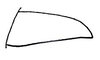 Acocksacris karruensis Dirsh, 1958: Fig. 5 (after Dirsh 1958). left cercus. (Otu).
