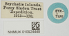 CollectionObject 1582362; 93bc2a98-6a57-4663-85ba-bab419ac41ca, NHMUK010924449: male, labels (paralectotype). (CollectionObject).